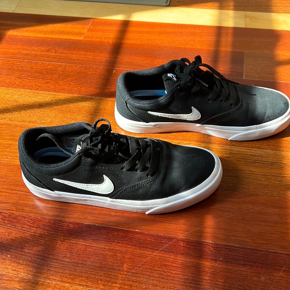 Nike SK8 shoes